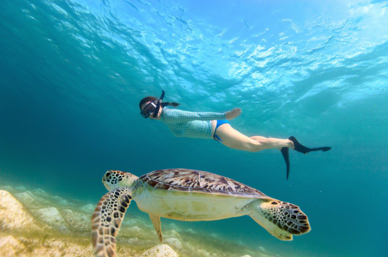 Snorkeling in Mexico